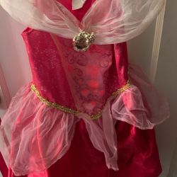 Princess Aurora Costume