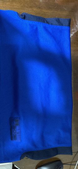 Blue Mesh Athletic Shorts