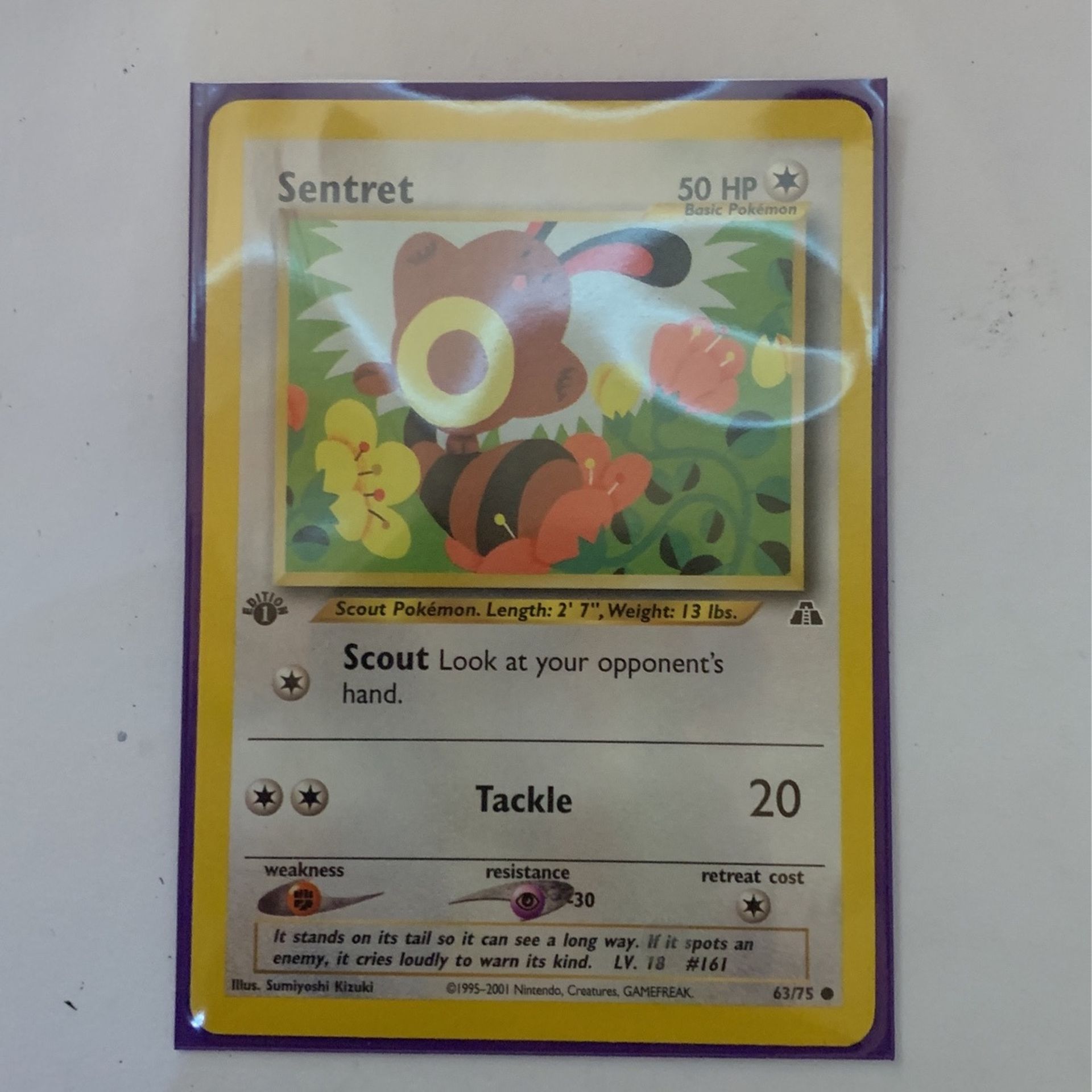 Sentret First Edition Pokémon Card
