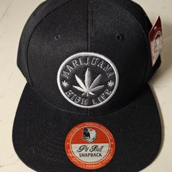 Silver Leaf 420 Pit Bull Snapback Hat