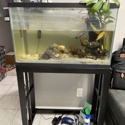 FISH TANK. STAND . Fishes 