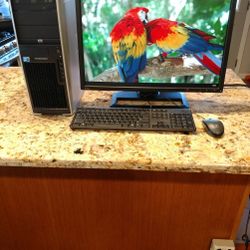 HP XW4600 Workstation and HP ZR24W
