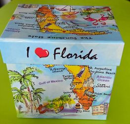 The "I ❤️ Florida Collectible Porcelain Mug"