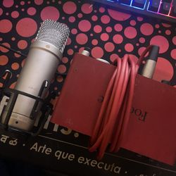 Recording Microphone w Interface