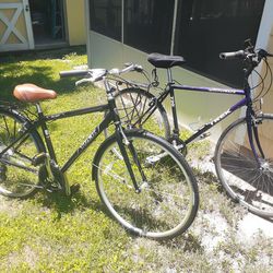 2x 21 Speed Trek Bikes. 17.5 and 19 inch. Quik Release Rims.Light weight.Reg.$1200.Good Condion.