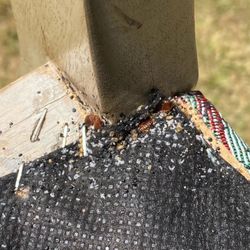 Bed Bug/Chinches Equipment