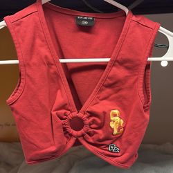 Hype and Vice USC crop top