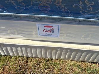 Free trash will pick up tomorrow