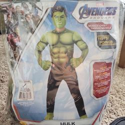 Hulk Costume