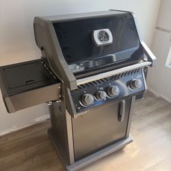 Napoleon-RXT425SIB Gas Grill & Primo round kamado egg cooker  