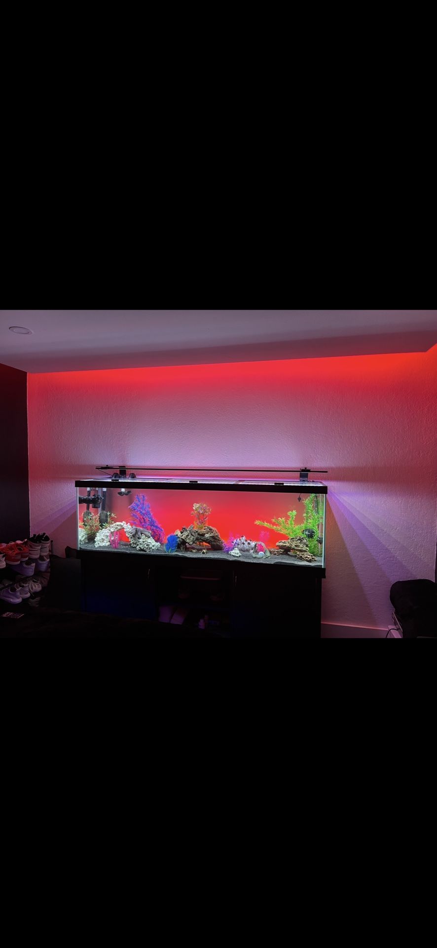 125 Gallon Fish Tank