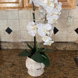 Large Artificial Plants 