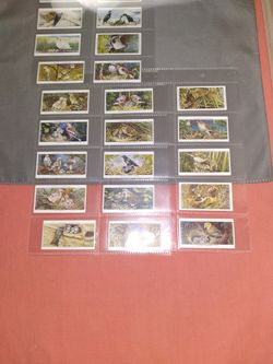 Vtg Players Cigarette Cards