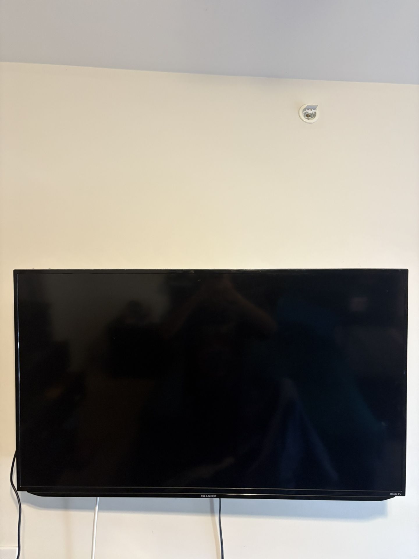 45 In Tv And Mount