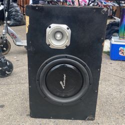 10” Subwoofer  / Tweeter And Amplifier 1100watts