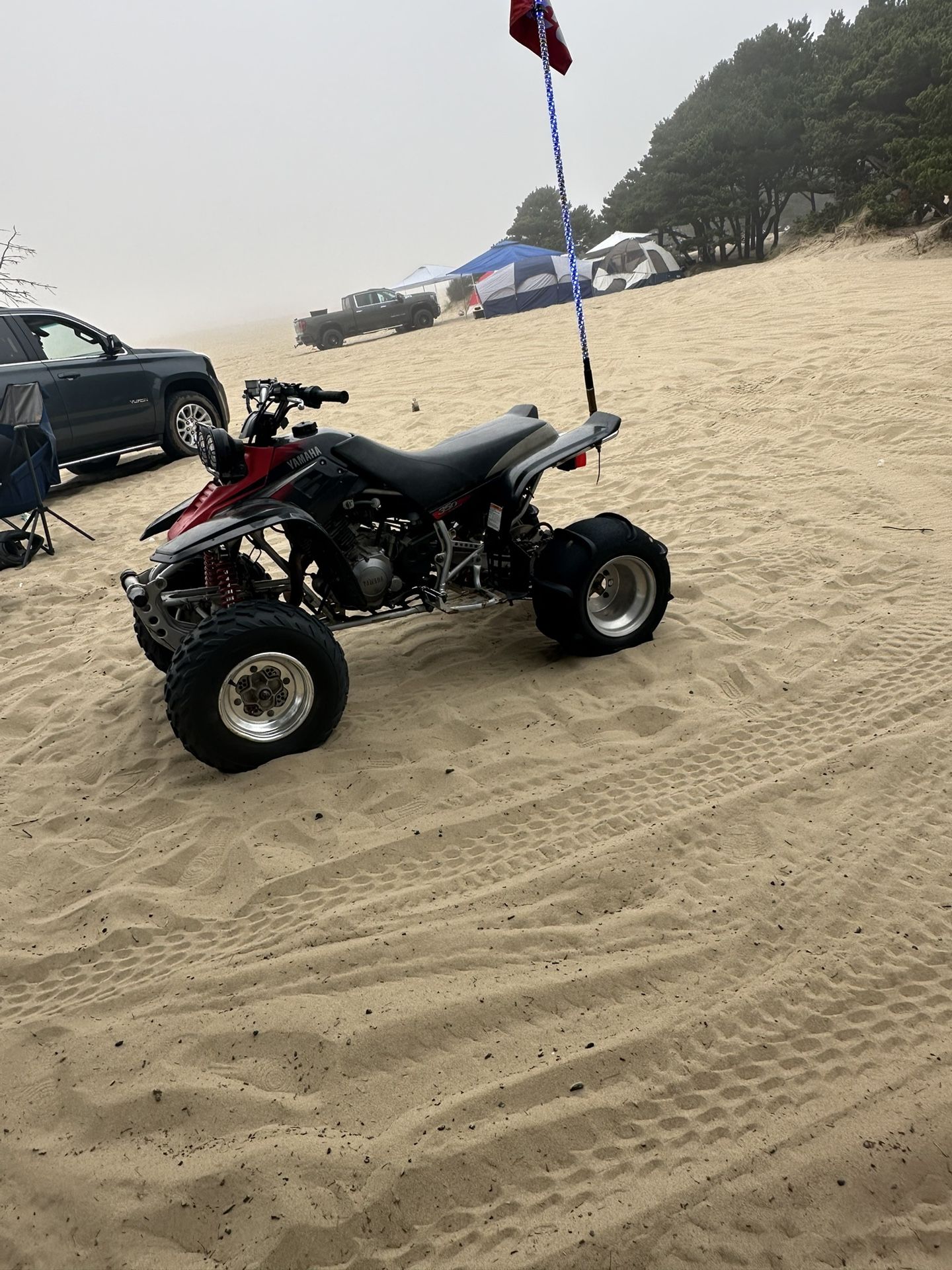 350 Warrior Yamaha