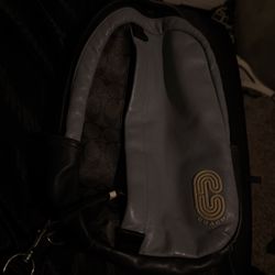 Coach Mens Bag