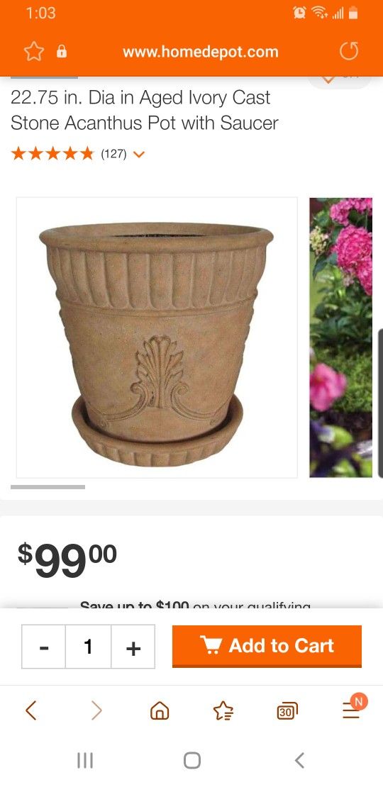 Large Pot With Saucer