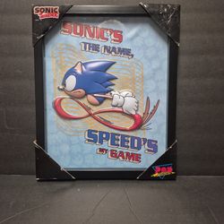 New! 15 X12 Sonic 3D Picture
