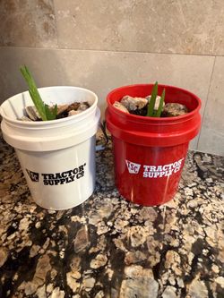 Mini garden buckets