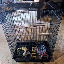 Bird Cage With Toys