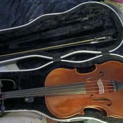 Size 16 Viola