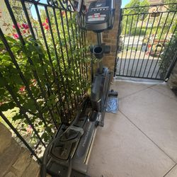 Free Elliptical 