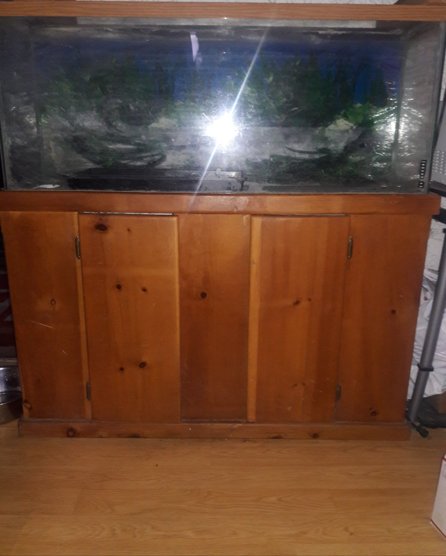 55 gallon fish tank and wood stand