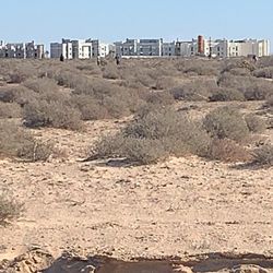 LOTES/LOTS IN ROCKY POINT