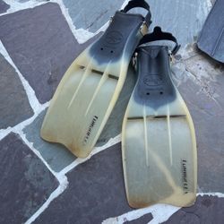 Scuba Dive Gear