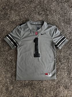 Mens Nike Ohio State OSU Buckeyes Grey Land of Wolves Unleashed Alternate Football Jersey Small