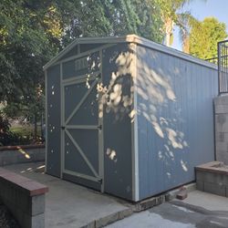 10x10 Shed 