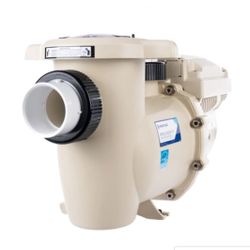 Pentair Swimming Pool And Spa Variable Speed Pump