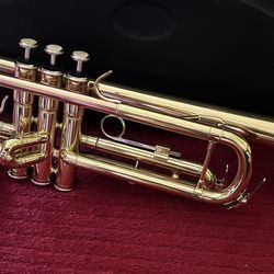 Trumpet with mouthpiece, and carry case in excellent condition. $85