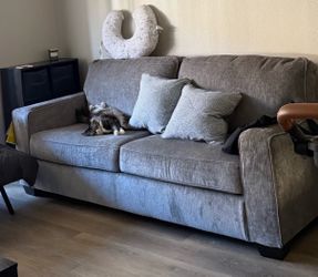 Sofa bed-queen