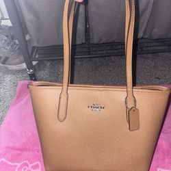 Coach Mini Tote