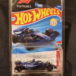 Hot Wheels 🔥 🛞 Formula One ,Protective Display Case Included 