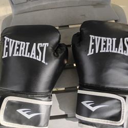 Everlast Boxing Gloves 