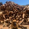 Olson Firewood