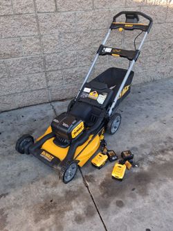 DeWalt 20V Cordless Push Lawn Mower with Batteries