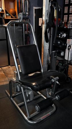 Leg Extension 