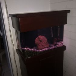 20 GAL CLEAR FOR LIFE TANK