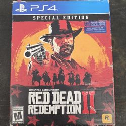 Red Dead Redemption 2 (II) Special Edition PS4