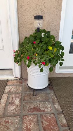 Inpatient plant