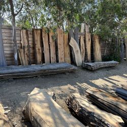 Live Edge Slabs