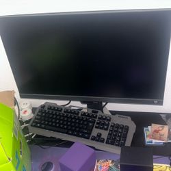 BenQ Gaming Monitor
