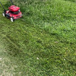 Grass Cut