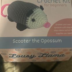 Learn To Crochet Kit