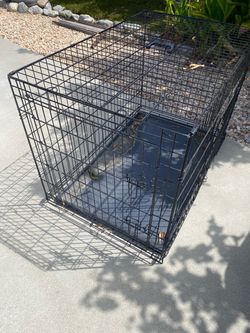 Large Black Wire Dog Crate