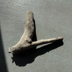 Bird Perch “parrot”